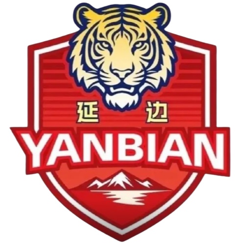延边队 延边队